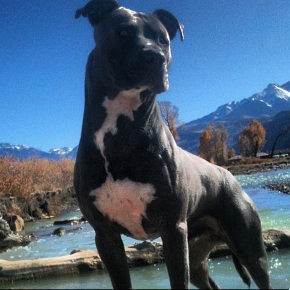 Meet your Posher, Garrett - Picture 1 of 1